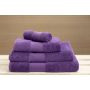 Olima trlkz, Purple